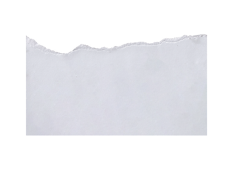 Clean White Torn Paper Edge fream on png Background - Subtle Textured Border for Copy Space and Design Elements, White ripped note, Ripped paper texture, 