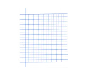 Blank graph paper page from a notebook, featuring blue grid lines and a vertical margin, isolated on a png background with subtle shadow.