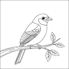 Beautiful bird coloring page featuring a perched bird on a branch with leaves, illustrated in clean black-and-white line art style, perfect for kids and adults who love nature-themed coloring.