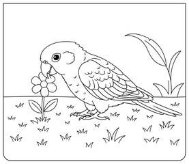 Adorable parrot coloring page featuring a cute parrot holding a flower in its beak while standing on grassy ground, illustrated in a simple black-and-white line art style, perfect for kids
