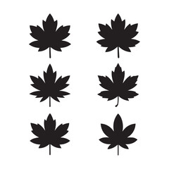 Fototapeta premium Maple Leaf Silhouettes Set on White Background – Black Botanical Icons