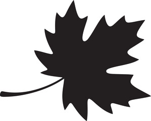 Black maple leaf silhouette on white background vector