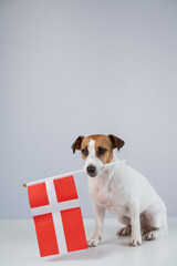 Jack Russell Terrier dog holding South Korea flag on white background. 