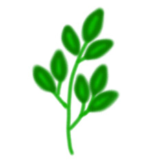 green plant isolated on white background