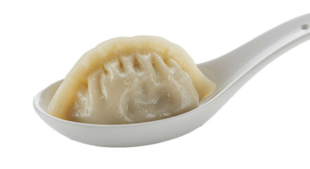 A single dumpling rests on a white spoon against a black background in a studio setting close up shot on transparent background