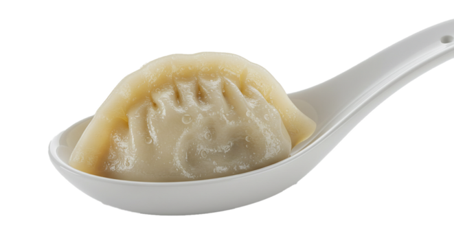 A single dumpling rests on a white spoon against a black background in a studio setting close up shot on transparent background