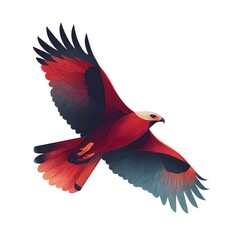 Illustration of a red and black kite bird flying with its wings spread wide against a white background