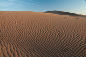Natural designs and shapes in the sand, caused by the wind.