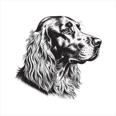Black and White Engraving of an Elegant Irish Setter Dog Head Profile