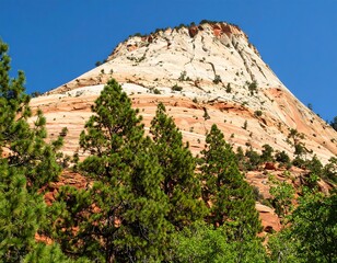 Mountain peak with vibrant layered rock face and pine trees
