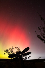 northern lights in front of a dragonfly statue