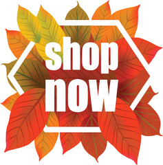 3D Shop Now Inscription for Consumerism with Bold Frame and Vivid Leaves