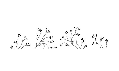 Rustic Floral Divider with Twigs. A horizontal botanical illustration of thin leafy branches perfect for decorative layout accents.