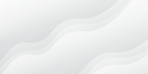 Vector gray line background curve element with white space for text and message design, illustration