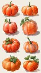 Colorful collection of pumpkins displayed with varied shapes and sizes showcasing their vibrant hues in a whimsical arrangement