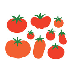 Flat vector illustration of various tomatoes: cherry, beefsteak, plum, and heirloom. Bright red and orange tomatoes with green stems isolated on white. Minimal and modern healthy food design.