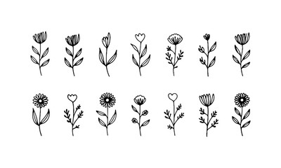 Minimalistic set of blooming twigs. Set with delicate flowers and thin curved stems.