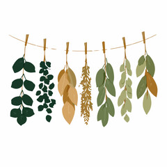 My Simple flat 2D icon of a autumn herbs hanging to dry isolated on a white background, vector design, ideal for animation, vector, web design, digital illustrations, and minimalist. vector set © Sabellatint