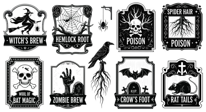 Witch broom spider web skull bat crow rat graveyard potion vector