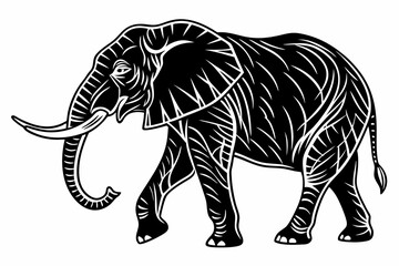 Fototapeta premium elephant isolated on white background