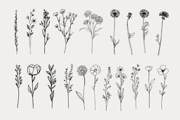 Wildflower Clipart Bundle &ndash; Hand-Drawn Botanical Vector Set 