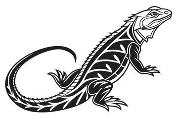 iguana on a black background
