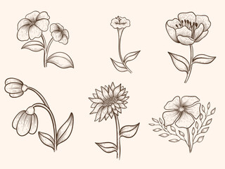 Vintage Hand-Drawn Botanical Flower Set Vector