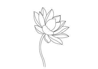 Vector illustration of a delicate lotus flower with detailed petals and a stem, isolated on white background