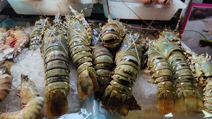 Small to large lobsters on ice for sale.