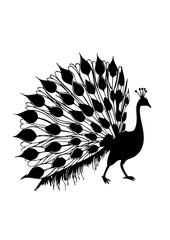 Peacock Silhouette with Elaborate Tail Feathers