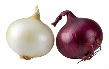 Purple onion and white onion isolated on white background