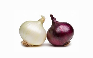 Purple onion and white onion isolated on white background