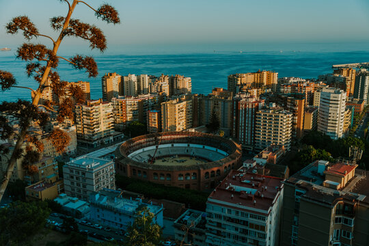 Miasto