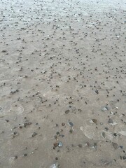 the wind swept rocks on Lake Michigan shore spring