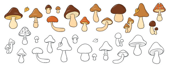 Mushrooms collection of colorful and monochrome doodles isolated on white background for stickers, prints, cards, posters, banners, socila media decor, etc. EPS 10