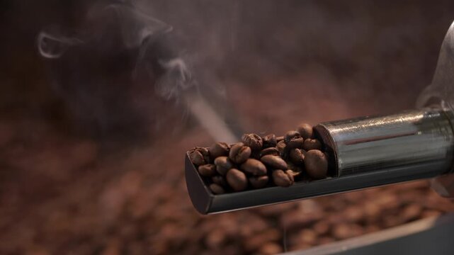 Aromatic coffee roasting process with aroma smoke, fresh beans emerge from roaster with rich flavor in hand of barista worker.