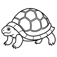 Vector art of cute cartoon turtle isolated on white background
