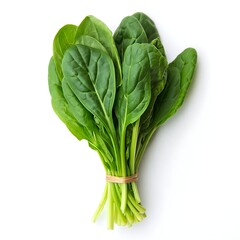 Fresh Spinach Bunch 