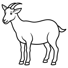 Illustration of a goat standing, isolated on white background