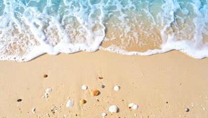 柔らかな質感で描かれた砂浜と穏やかな波が貝殻とともに美しく調和するトップビューの自然風景
