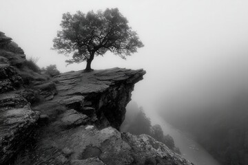 Lonely tree stands on a rocky cliff surrounded by thick fog during a moody day in the mountain highlands landscape