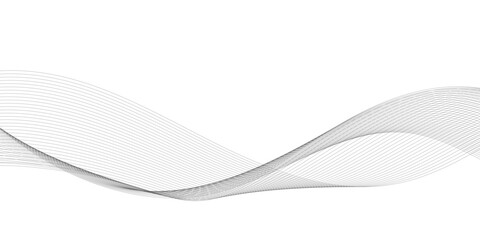 Technology and business wave lines on transparent background. Frequency sound wave, twisted curve lines with blend effect	
