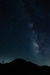 Fototapeta premium Joshua Tree Night Sky 