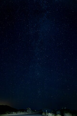 Joshua Tree Night Sky 