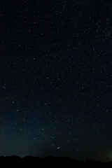 Joshua Tree Night Sky 