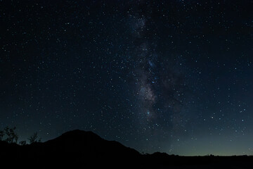 Obraz premium Joshua Tree Night Sky 