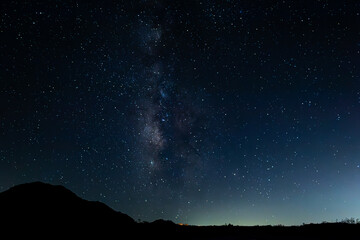 Joshua Tree Night Sky 