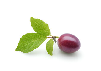 Ripe dark purple cherry plum or prunus with leaves isolated on white background