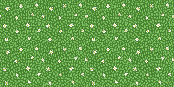 Vector seamless green grass with daisy flowers seamless pattern, abstract meadow, lawn texture background