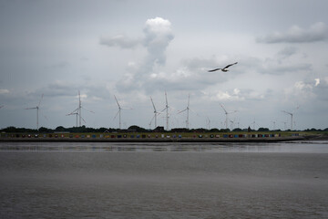 Seagull Flying Over Coastal Landscape with Wind Turbines